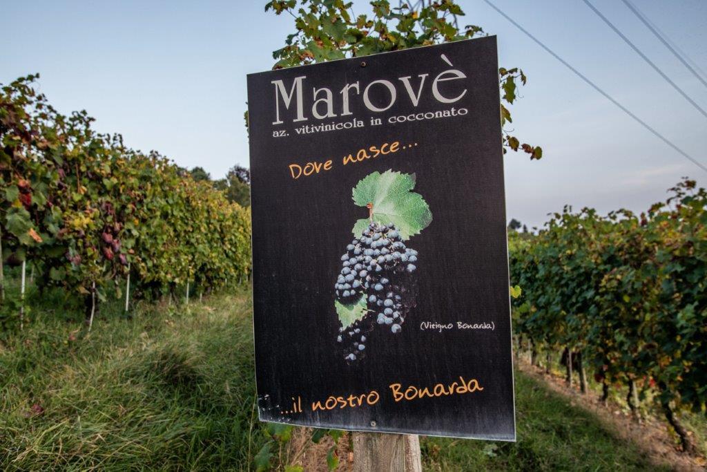 azienda-monferratoexcellence