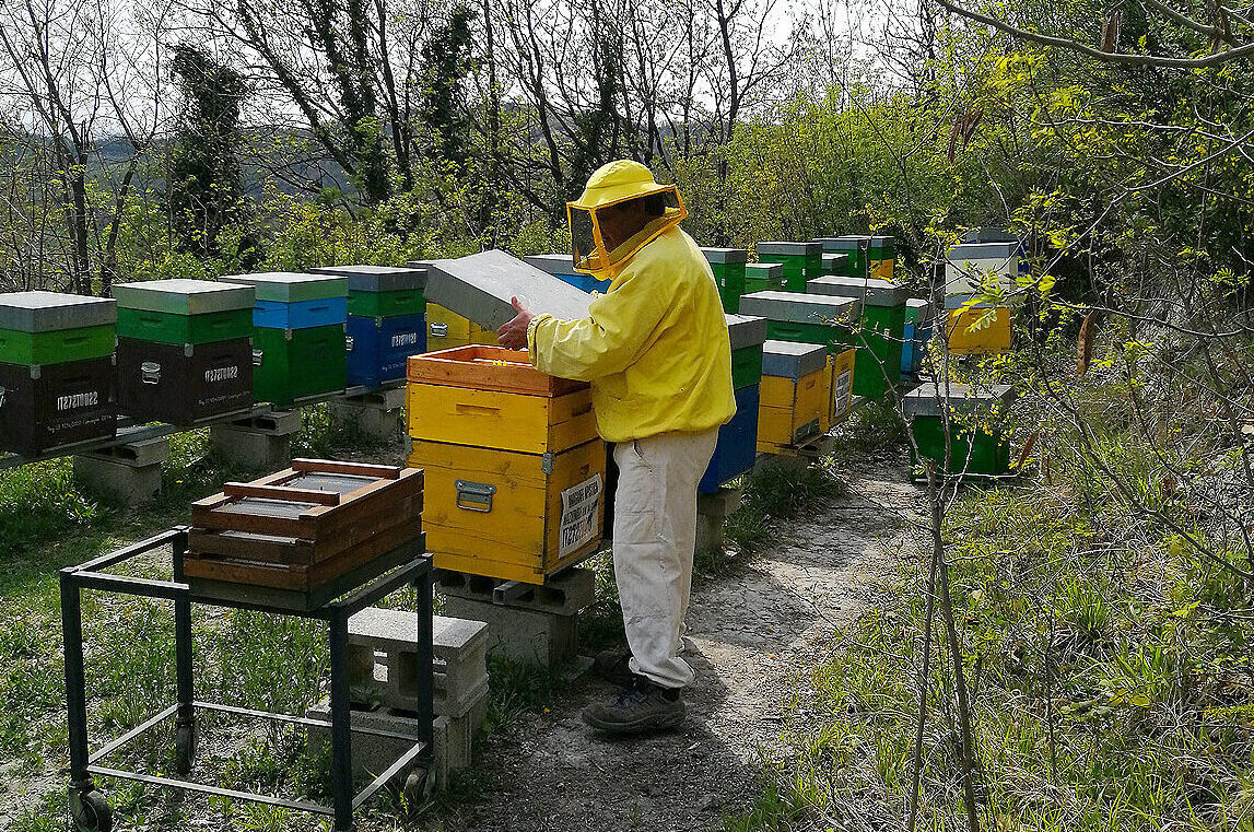 azienda-monferratoexcellence