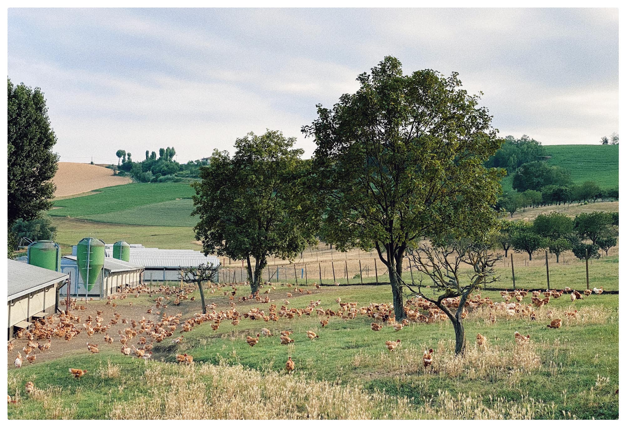 azienda-monferratoexcellence